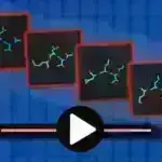 BCL6 proteininin artırılması GLP-1 istifadəçilərinə yağ itirərkən əzələ saxlamağa kömək edə bilər