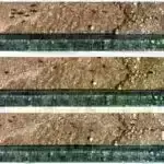 Bütün şirin su növlərinin təxminən dörddə birinə nəsli kəsilmək təhlükəsi var