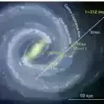 Sirr və beyin funksiyası ilə bağlı indiyə qədər aparılan ən böyük tədqiqat iş yaddaşına təsir göstərib