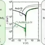 Cənubi Afrikadakı kəşf, ox zəhəri hazırlamaq üçün maddələrin qarışdırıldığına dair ən qədim sübutları saxlayır
