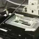 VR metro təcrübəsi daxili qulaq pozğunluğu olan insanlar üçün tarazlığın pozulmasında səsin rolunu vurğulayır