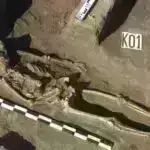 Niyə əyriləri düz kənarlardan üstün tuturuq? Tədqiqatçılar ipucu tapmaq üçün beyni araşdırırlar