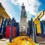 Tərəfdaşlıq köpək balığı dəniz otunun bərpası üçün açardır