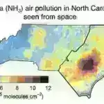 DNT və radiokarbon analizi tarixdən əvvəlki mamont sümüyü kompleksinə dair yeni anlayışlar təmin edir
