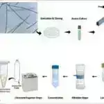 Daha yaxşı infraqırmızı sensorlar yaratmaq: Yeni fotodiod dizaynı həssaslığı artırır