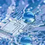 CRISPR/Cas tərəfindən inversiyadan sonra bitki xromosomlarının epigenetik vəziyyəti sabit qalır.