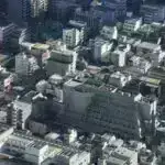 Robotlar indi moza bənzər ayaqları sayəsində palçıqlı və sürüşkən ərazilərdən keçə bilirlər.