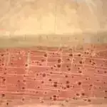 Arecibo məlumatlarının təhlili ilə kəşf edilən on səkkiz yeni pulsar