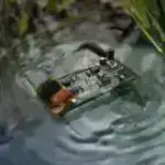 Yüksək performanslı natrium-ion katod litium-ion batareya alternativinə yol açır