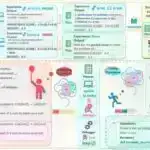 Keçici işemik hücumun əsl nəticəsi sürətlənmiş koqnitiv tənəzzüldə tapıla bilər