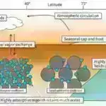 Tədqiqat göstərir ki, şişkinliyə qarşı dərman beyin xərçənginin immunoterapiyasına mane olur