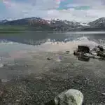 Bir Qərbi Afrika etnik qrupunu malyariyaya daha az həssas edən əsas immun fərqlər müəyyən edilmişdir