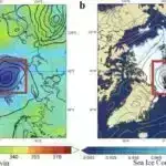 Alimlər sağlamlığın monitorinqi üçün yeni özünü sağaldan elektron dəri hazırlayırlar