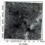 Fosillər milyonlarla ildir saqqız ağaclarını izləyən yarpaq yeyən böcəkləri göstərir