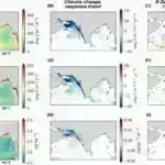 Beş günlük ultra emal edilmiş qida: Tədqiqat göstərir ki, bu, insulini dəyişdirmək və beyindəki funksiyaları mükafatlandırmaq üçün kifayətdir