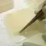 Arktik siklonlar dəniz buzunun tükənməsi modellərində çatışmazlıq ola bilər