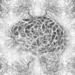 Breakthrough birbaşa sürətlənmə ölçmələrindən istifadə edərək yerli qaranlıq maddə sıxlığının ölçülməsinə imkan verir