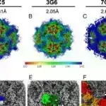 DarkMind: LLM-lərin düşünmə imkanlarından istifadə edən yeni arxa qapı hücumu