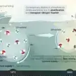 Fosillər milyonlarla ildir saqqız ağaclarını izləyən yarpaq yeyən böcəkləri göstərir