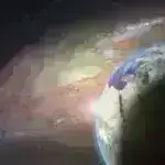 Leafbot: Çətin əraziləri fəth edən yumşaq robot