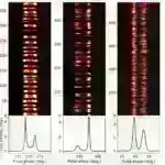 AI modeli müalicəyə davamlı mikroblara qarşı skrininq üçün antimikrob peptid strukturları yaradır
