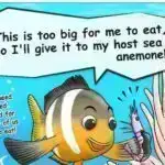 ABŞ-ın özəl şirkəti Aya ikinci eniş cəhdinə hazırlaşır