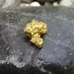 Karbonatı həll edən mikroorqanizmlər davamlı bioenerjinin açarı ola bilər