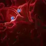 Yadplanetlilərin həyatına dair ən böyük axtarışlardan biri 30 il əvvəl başladı – onun mirası bu gün də yaşayır