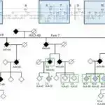 Təhlillər göstərir ki, Maskın alınmasından sonra X-də nifrət nitqi 50% artıb