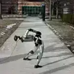 Havay milçəkləri kriketləri izləmək üçün inkişaf etmiş eşitmə qabiliyyətini inkişaf etdirir