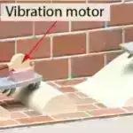 Tədqiqat göstərir ki, stress hormonları inkişaf etməkdə olan beyində neyron növlərini dəyişdirir