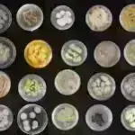 Karbonatı həll edən mikroorqanizmlər davamlı bioenerjinin açarı ola bilər