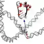 Displeylərin gələcəyini formalaşdırmaq: Gil əsaslı cihaz işıq emissiyasını və rəng nəzarətini birləşdirir