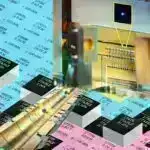 Kakadular qaragiləli qatıqda batırılmış əriştələrə üstünlük verirlər: Primat olmayan qida ləzzətinin ilk sübutu