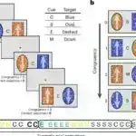 Kvant bilyard topları: İşığın köməyi ilə atomik toqquşmalara daha dərindən qazma