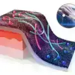 Repressiya edilmiş, lakin getməyə hazırdır: Bivalentlik inkişaf genlərini ifadə üçün hazır vəziyyətdə necə saxlayır