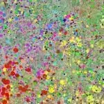 Laboratoriyalar nizamsız ürək döyüntüsünə səbəb olan yeni mexanizmlər kəşf edirlər