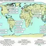Bəzi yanacaq birləşmə damarlarının daxili divarlarında ilişib qalacaq: Tədqiqat nə qədər yanacaq olduğuna dair daha yaxşı fikir verir.