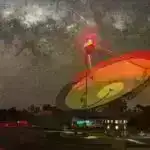 Şəkərlə qidalanan sağlam bağırsaq bakteriyaları ilk dəfə analiz edilib