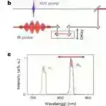 Yeni nəzəriyyəyə görə, pul uzun məsafəli ticarət yolu ilə yarana bilər