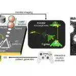 Səyahət şəbəkələri lil qəliblərindən korporasiyalara qədər yeni bir yol göstərir