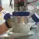 Lələk quşlarına diqqət yetirən mühafizə qarışıq nəticələr verə bilər