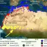 Boz maddə tədqiqatı neyroanatomik cəhətdən fərqli iki OKB alt tipini aşkar edir