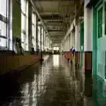 Bağırsaq mikroblarının narahatlıqla təəccüblü əlaqəsi potensial probiotik həllə işarə edir