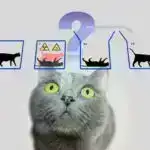 EPIC araşdırması, Aralıq dənizi pəhrizinin piylənmə ilə əlaqəli xərçəng riskinə təsirini vurğulayır