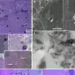 Minlərlə kiçik, zamandan xəbərdar olan sensorlar dar borulardakı kimyəvi konsentrasiyaların ümumi xəritəsini çıxara bilər.