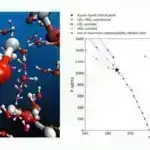 Ferret beyin tədqiqatı inkişaf zamanı etibarlı vizual təsvirlərin necə ortaya çıxdığını araşdırır