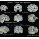 İnsanların kortəbii düşüncə modelləri dörd əsas qrupa bölünür, araşdırma tapır