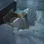 Tropiklərdən laboratoriyaya: Yeni mayalar sənayeni dəyişdirə bilər