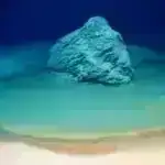 İnnovativ mikroskop hüceyrələrdə tam 3D molekulyar oriyentasiyanı ortaya qoyur